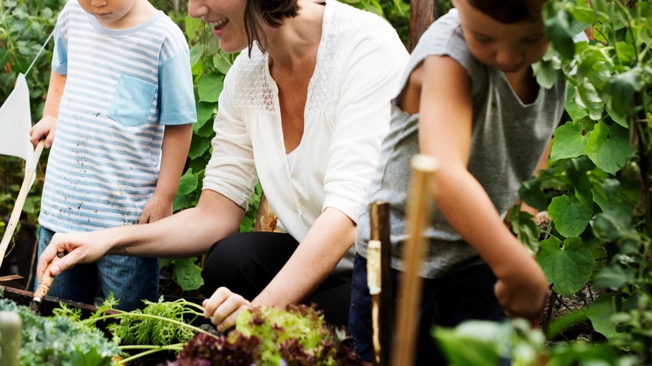 Botaniczny obraz na pełną szerokość