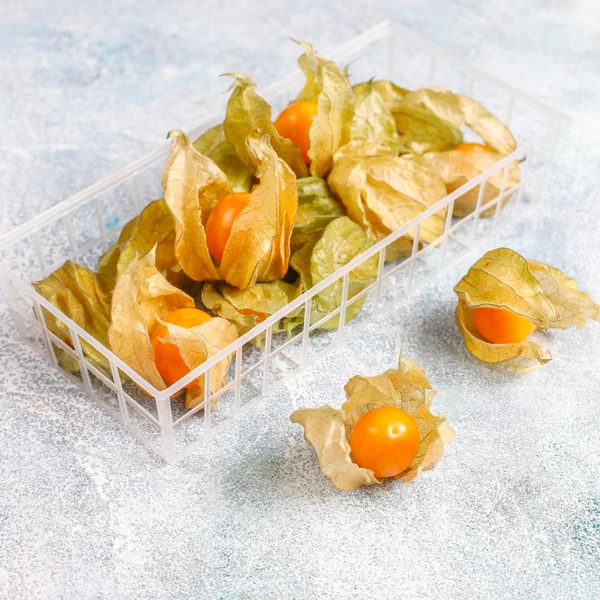 Botaniczny obraz split