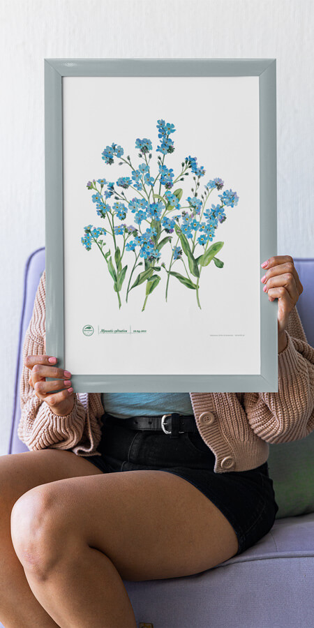 Plakaty z motywem roślinnym dla miłośników roślin