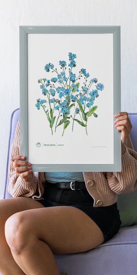 Plant art posters for plant lovers