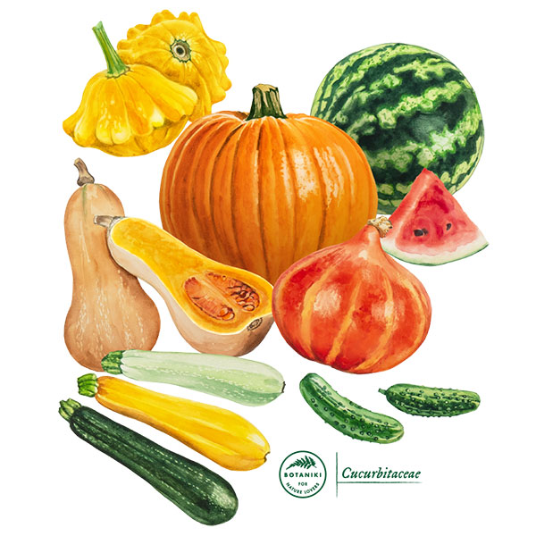 Cucurbits