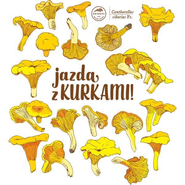 Jazda z kurkami